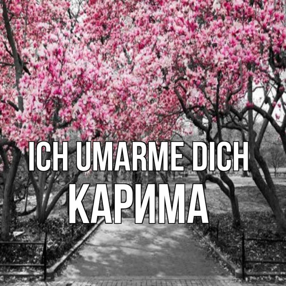Открытка на каждый день с именем, Карима Ich umarme dich обработанное фото Прикольная открытка с пожеланием онлайн скачать бесплатно 