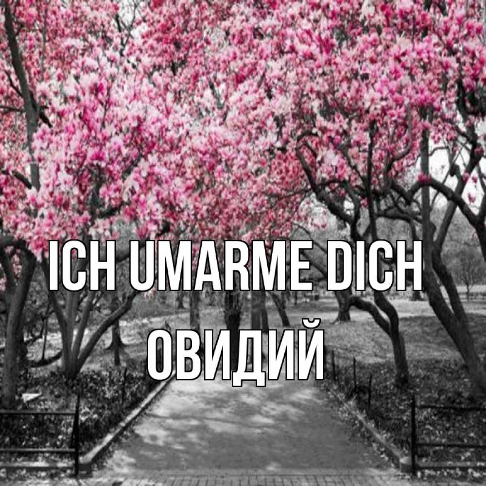 Открытка на каждый день с именем, Овидий Ich umarme dich обработанное фото Прикольная открытка с пожеланием онлайн скачать бесплатно 