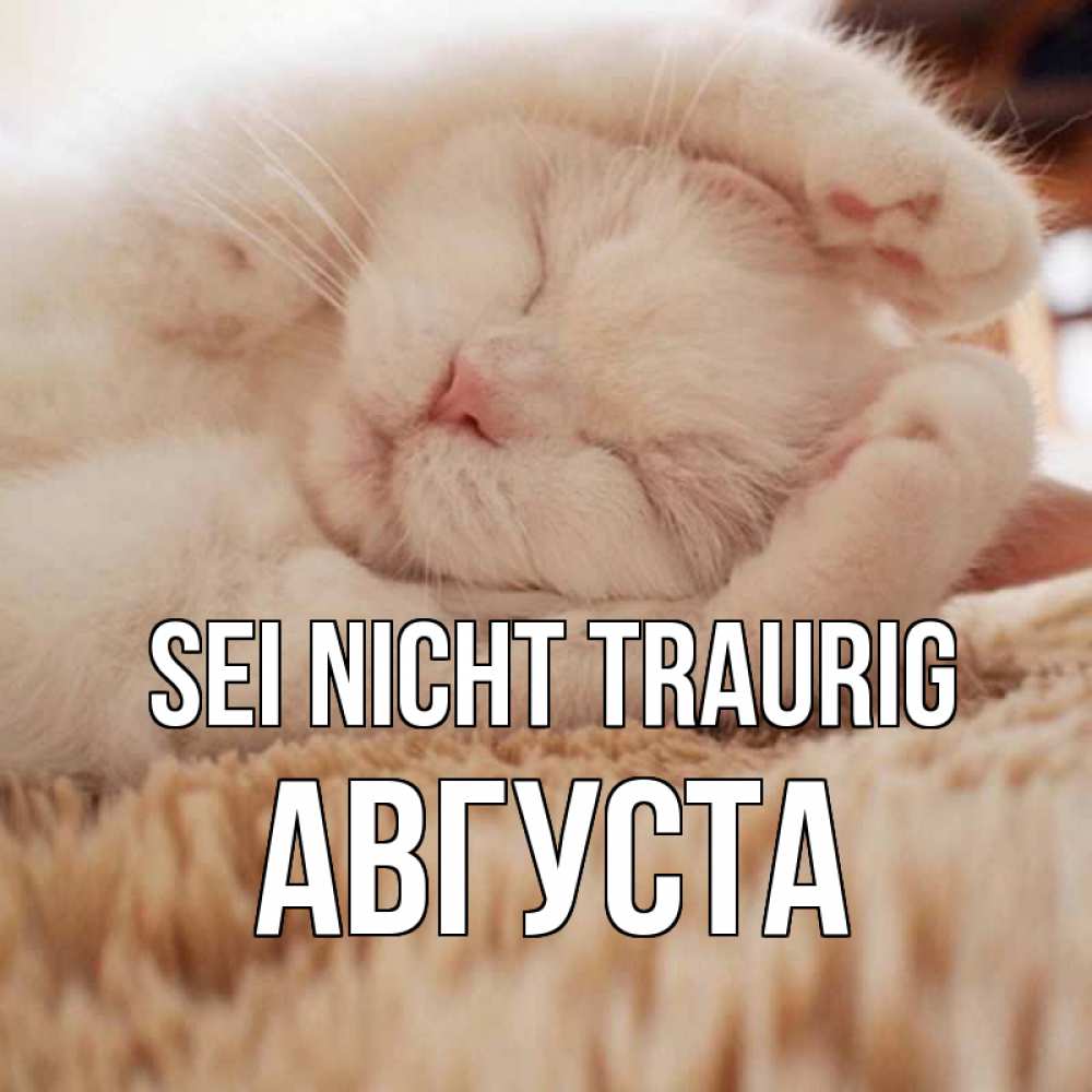 Открытка на каждый день с именем, Августа Sei nicht traurig белый кот Прикольная открытка с пожеланием онлайн скачать бесплатно 