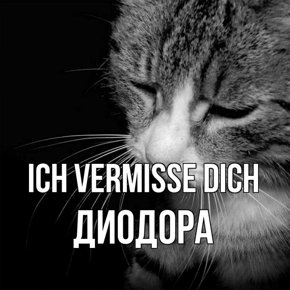Открытка на каждый день с именем, Диодора Ich vermisse dich мне скучно Прикольная открытка с пожеланием онлайн скачать бесплатно 
