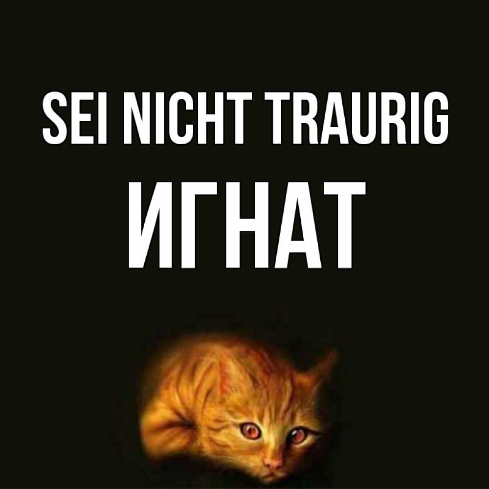 Открытка на каждый день с именем, Игнат Sei nicht traurig лежащий кот в темноте Прикольная открытка с пожеланием онлайн скачать бесплатно 