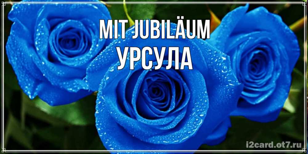 Открытка на каждый день с именем, Урсула Mit Jubiläum розы с синим цветом Прикольная открытка с пожеланием онлайн скачать бесплатно 