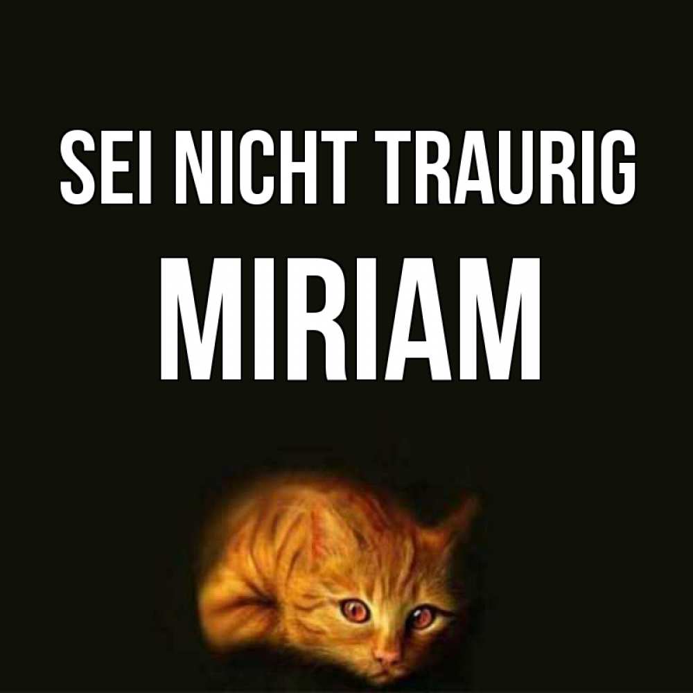Открытка на каждый день с именем, Miriam Sei nicht traurig лежащий кот в темноте Прикольная открытка с пожеланием онлайн скачать бесплатно 