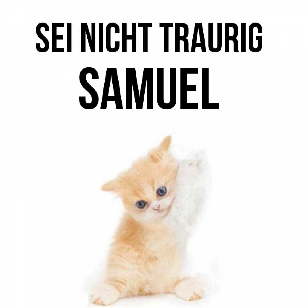 Открытка на каждый день с именем, Samuel Sei nicht traurig просящий кот Прикольная открытка с пожеланием онлайн скачать бесплатно 