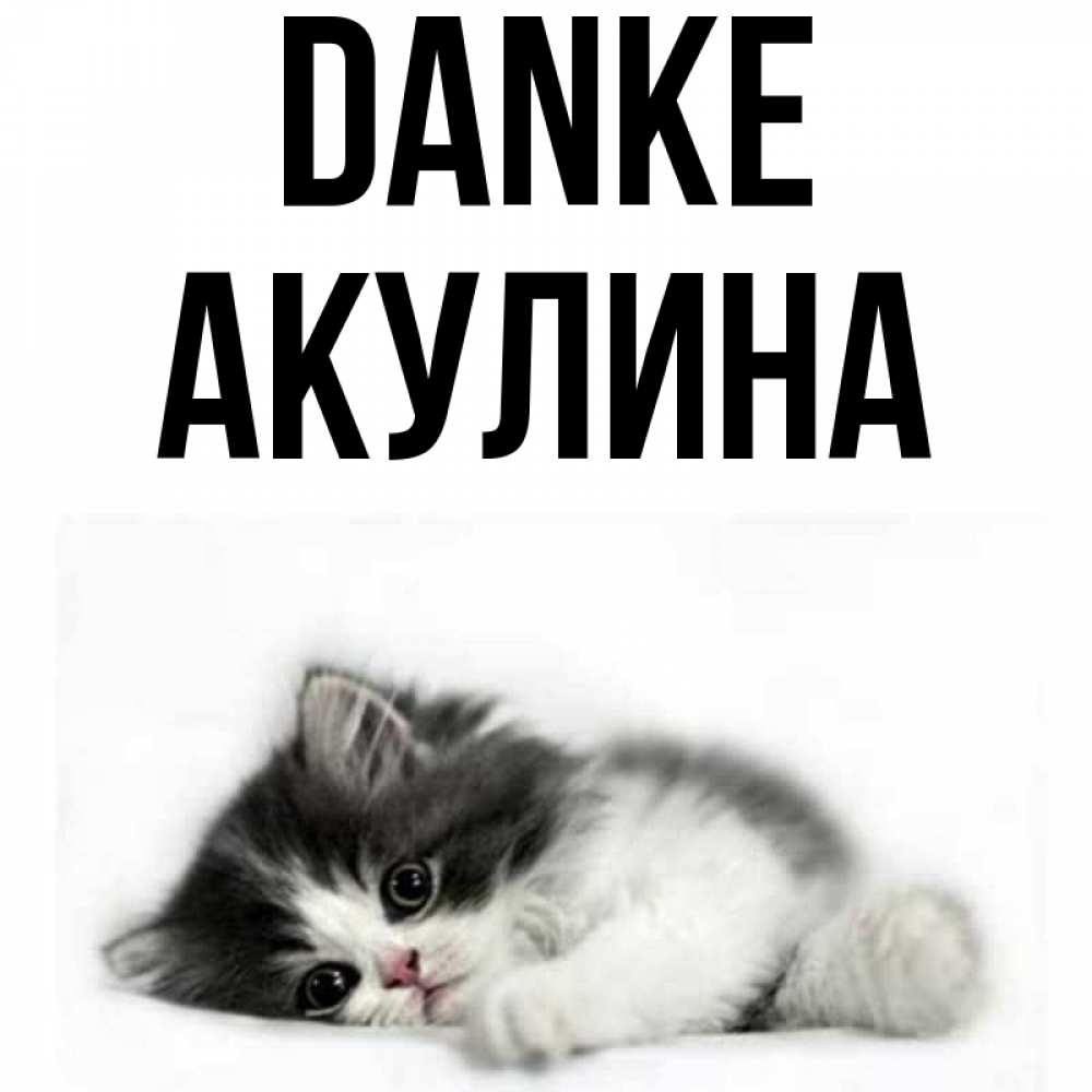 Открытка на каждый день с именем, Акулина Danke черный и белый кот Прикольная открытка с пожеланием онлайн скачать бесплатно 