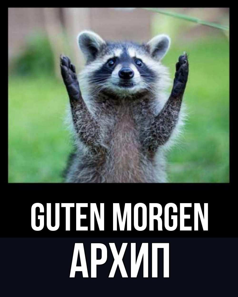 Открытка на каждый день с именем, Архип Guten Morgen хорошее настроение утречком Прикольная открытка с пожеланием онлайн скачать бесплатно 