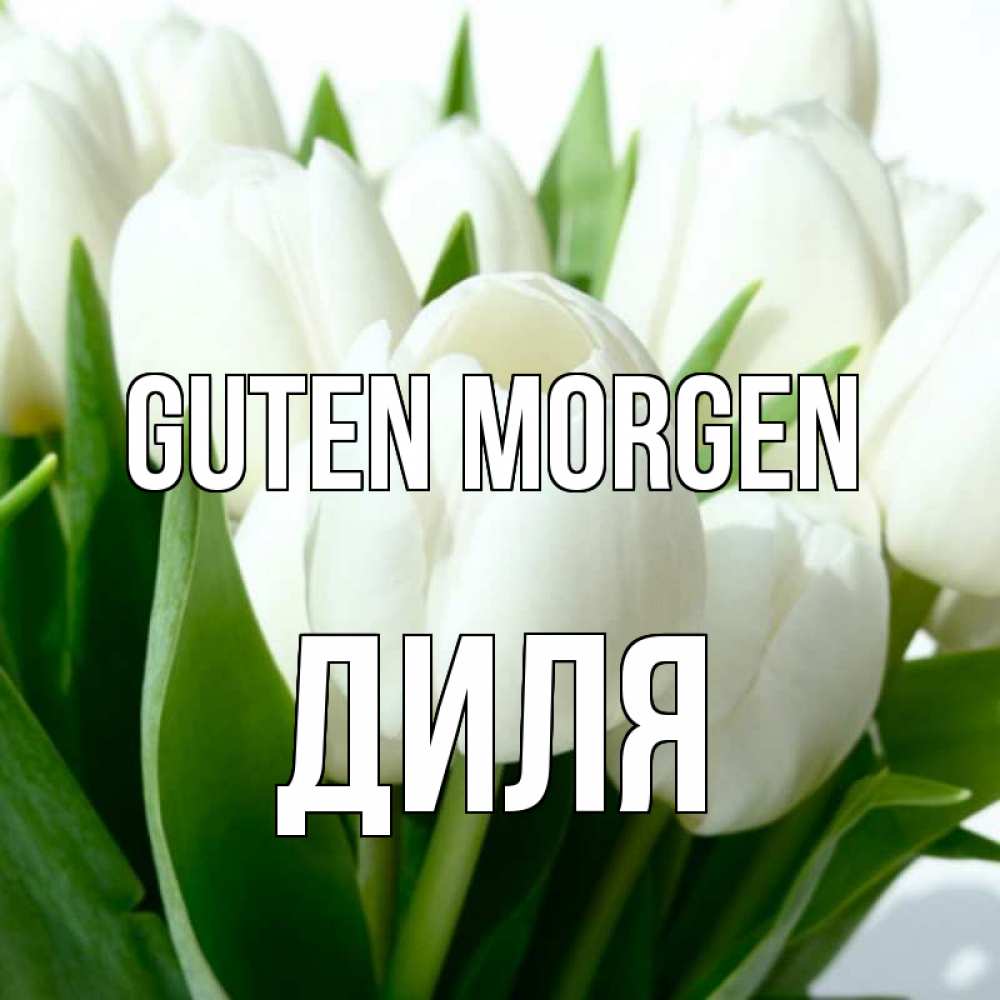 Открытка на каждый день с именем, Диля Guten Morgen открытки на каждый день по именам Прикольная открытка с пожеланием онлайн скачать бесплатно 