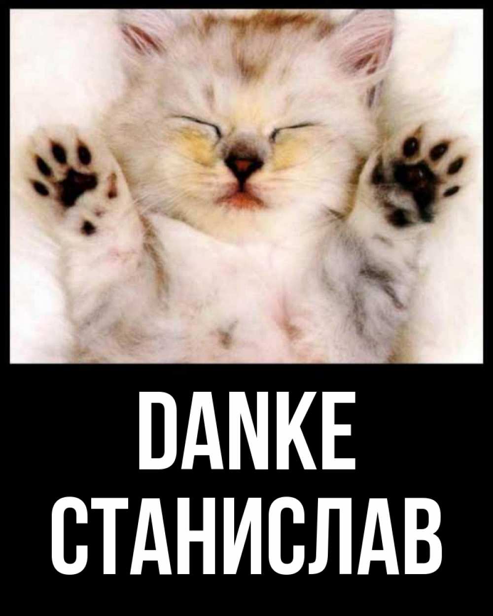 Открытка на каждый день с именем, Станислав Danke маленький котенок Прикольная открытка с пожеланием онлайн скачать бесплатно 