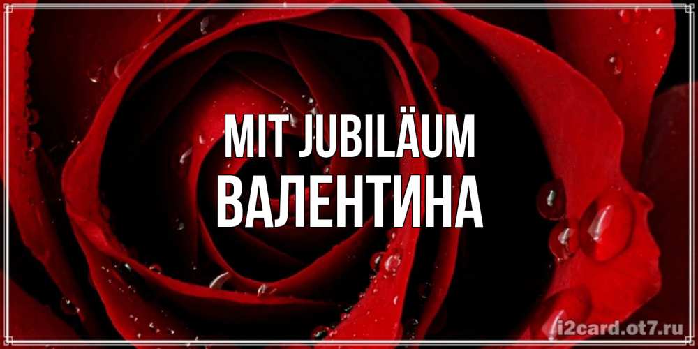 Открытка на каждый день с именем, Валентина Mit Jubiläum крупная бордовая роза Прикольная открытка с пожеланием онлайн скачать бесплатно 