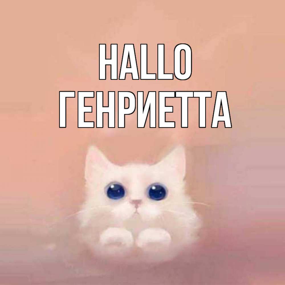 Открытка на каждый день с именем, Генриетта Hallo котик белый в полете Прикольная открытка с пожеланием онлайн скачать бесплатно 