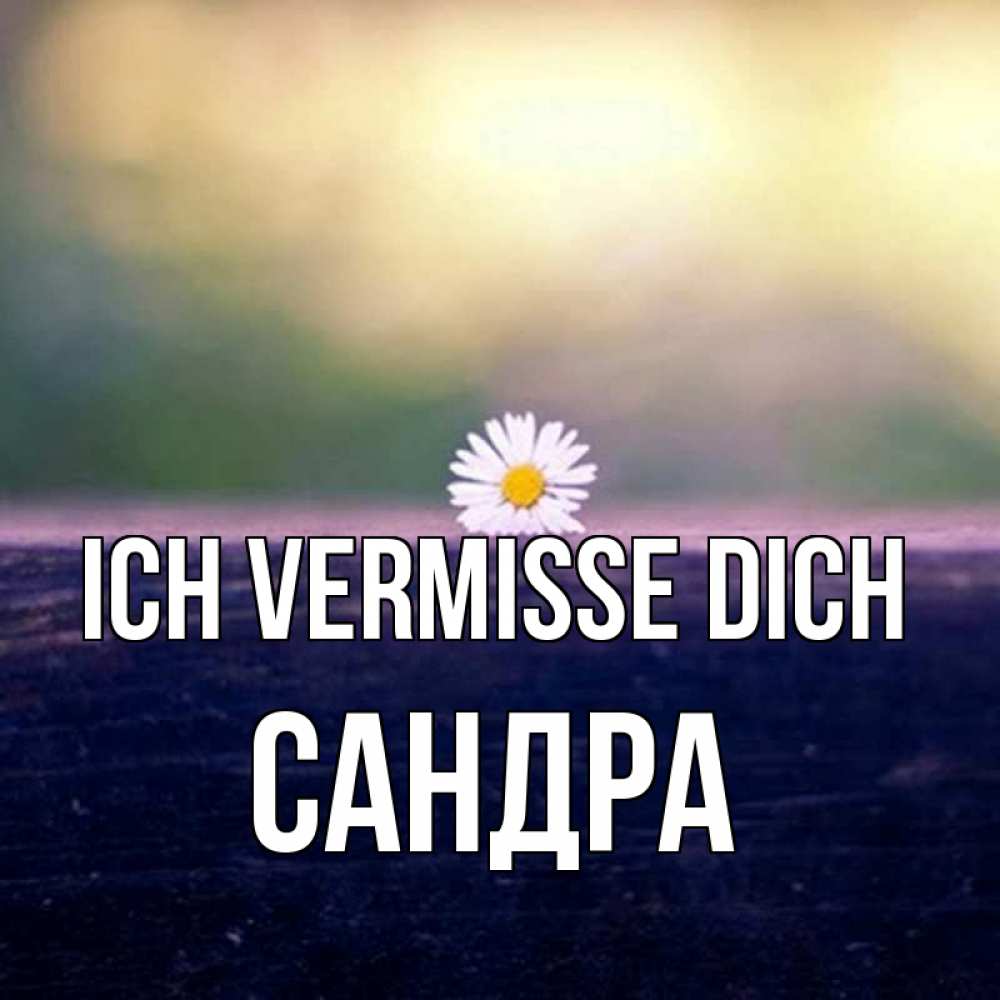 Открытка на каждый день с именем, Сандра Ich vermisse dich приходи в гости Прикольная открытка с пожеланием онлайн скачать бесплатно 
