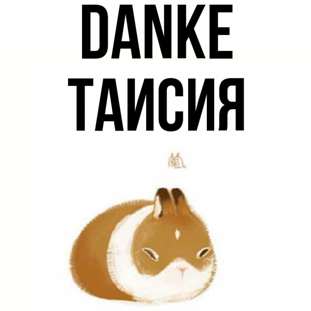 Открытка на каждый день с именем, Таисия Danke коричнево белый домашний питомец Прикольная открытка с пожеланием онлайн скачать бесплатно 