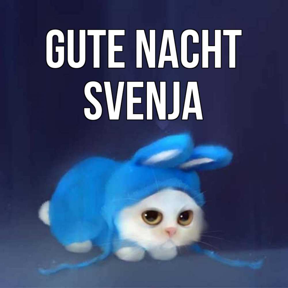Открытка на каждый день с именем, Svenja Gute Nacht кот в голубом костюме кролика с ушками Прикольная открытка с пожеланием онлайн скачать бесплатно 