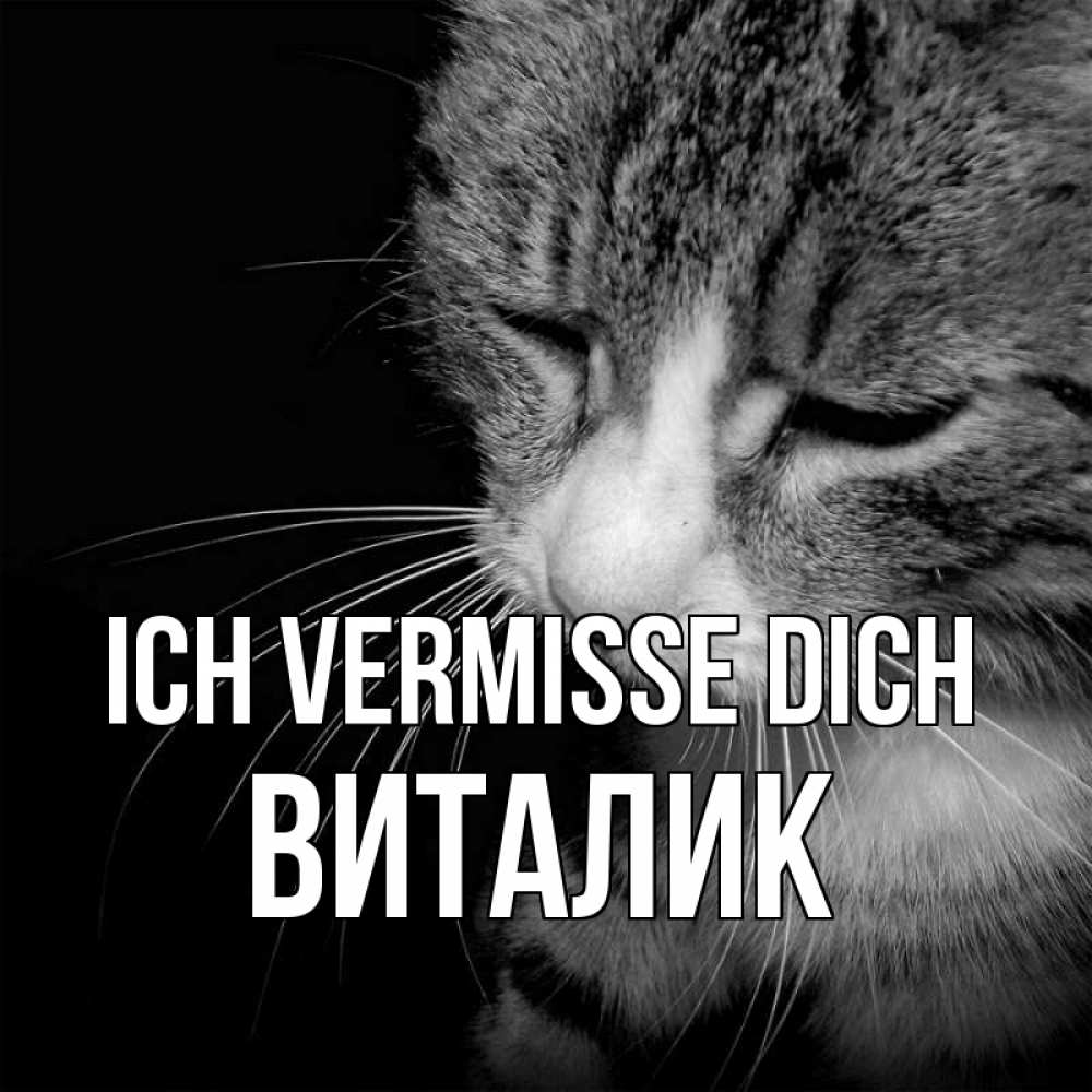 Открытка на каждый день с именем, Виталик Ich vermisse dich мне скучно Прикольная открытка с пожеланием онлайн скачать бесплатно 