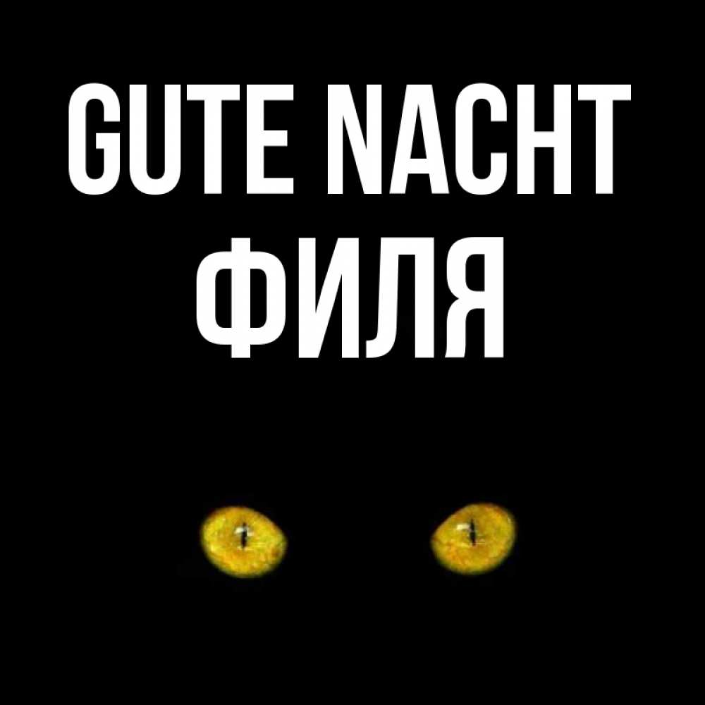 Открытка на каждый день с именем, Филя Gute Nacht сладких снов бесстрашный мой дружочек Прикольная открытка с пожеланием онлайн скачать бесплатно 