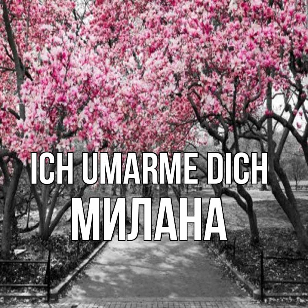 Открытка на каждый день с именем, Милана Ich umarme dich обработанное фото Прикольная открытка с пожеланием онлайн скачать бесплатно 