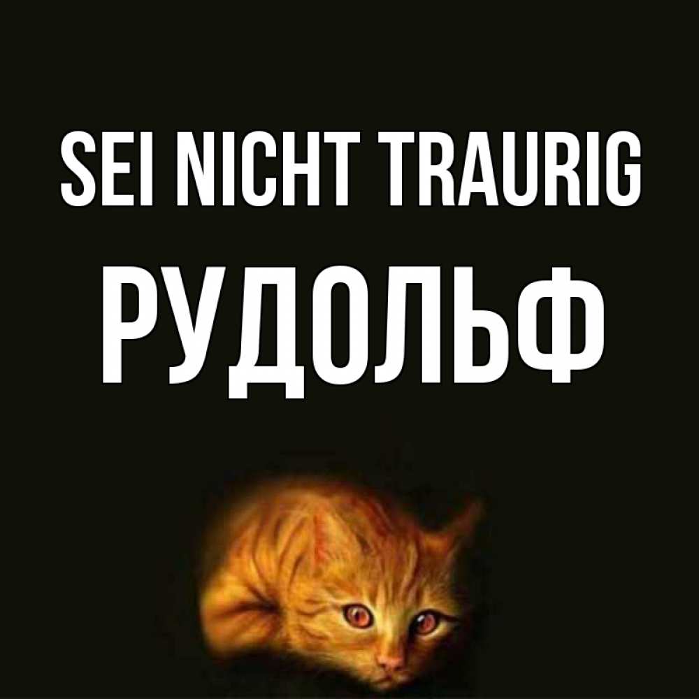 Открытка на каждый день с именем, Рудольф Sei nicht traurig лежащий кот в темноте Прикольная открытка с пожеланием онлайн скачать бесплатно 
