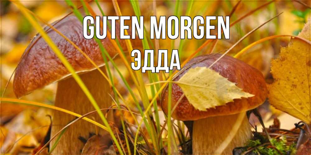 Открытка на каждый день с именем, Эдда Guten Morgen осенние грибы Прикольная открытка с пожеланием онлайн скачать бесплатно 