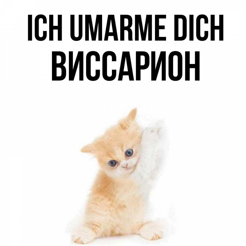 Открытка на каждый день с именем, Виссарион Ich umarme dich я хочу очень скорее обнимаешек Прикольная открытка с пожеланием онлайн скачать бесплатно 