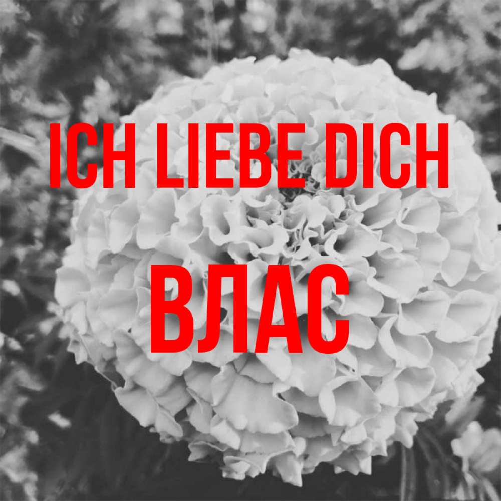 Открытка на каждый день с именем, Влас Ich liebe dich подпись Прикольная открытка с пожеланием онлайн скачать бесплатно 