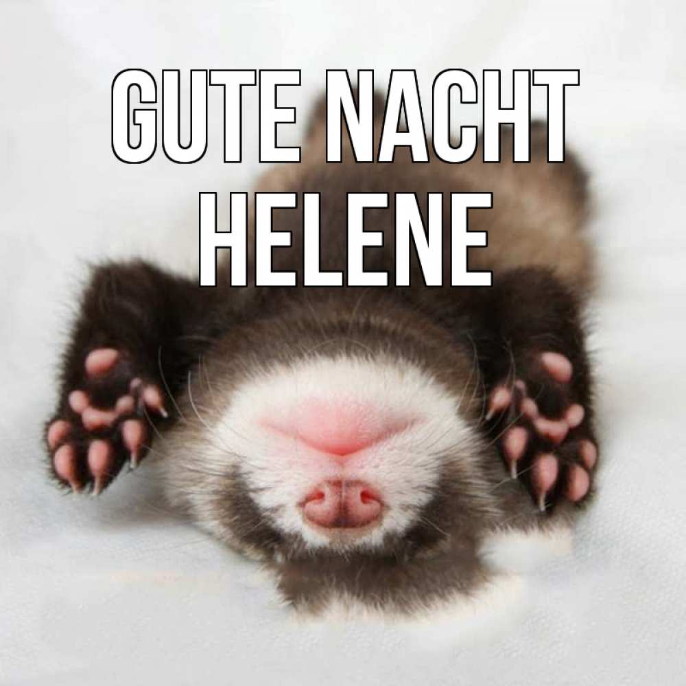 Открытка на каждый день с именем, Helene Gute Nacht зверек Прикольная открытка с пожеланием онлайн скачать бесплатно 
