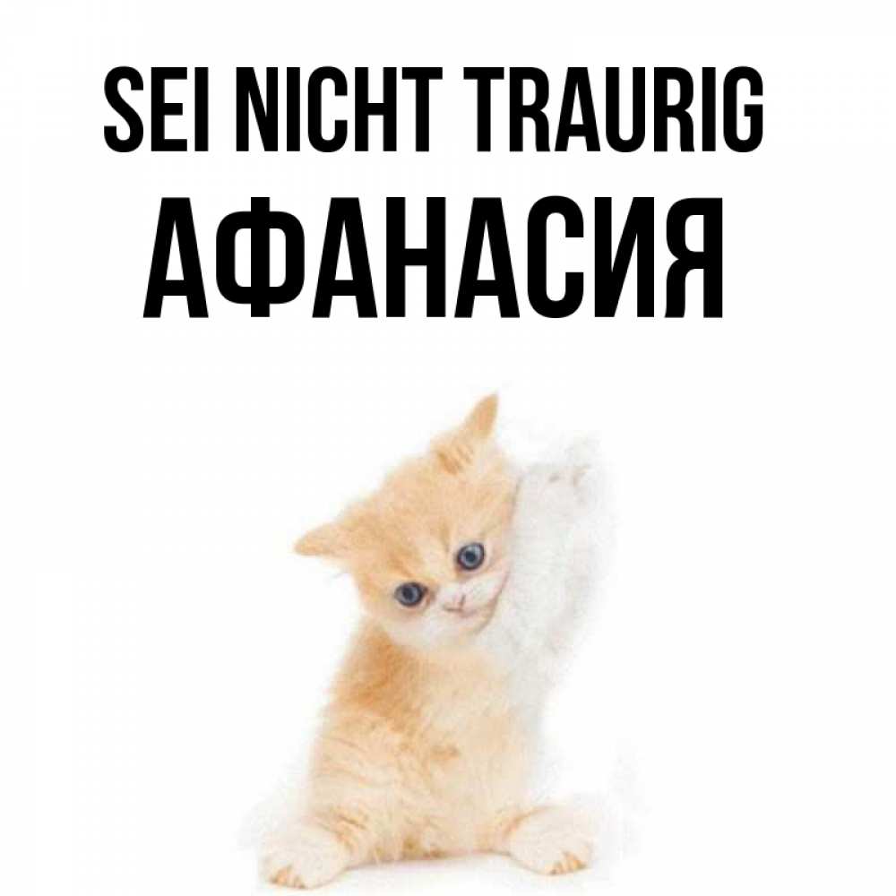 Открытка на каждый день с именем, Афанасия Sei nicht traurig просящий кот Прикольная открытка с пожеланием онлайн скачать бесплатно 