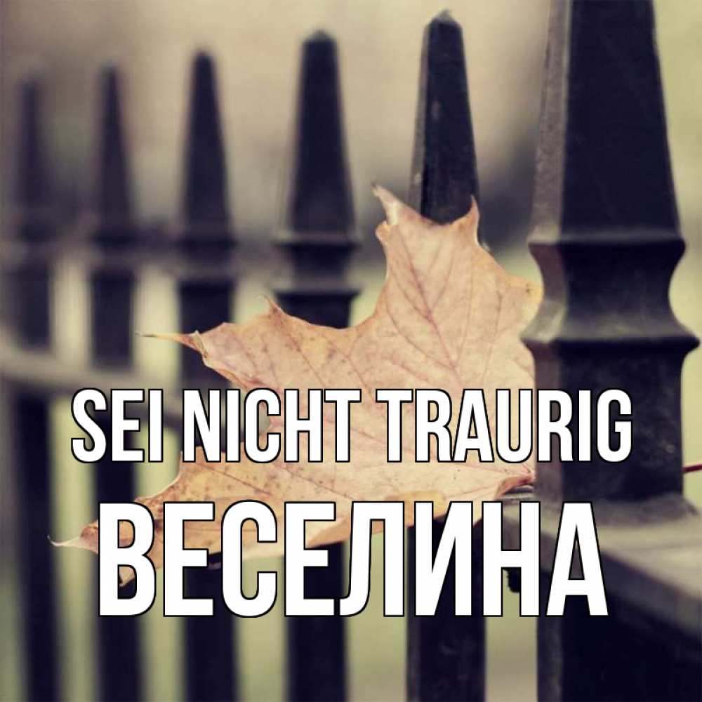 Открытка на каждый день с именем, Веселина Sei nicht traurig лист клена Прикольная открытка с пожеланием онлайн скачать бесплатно 