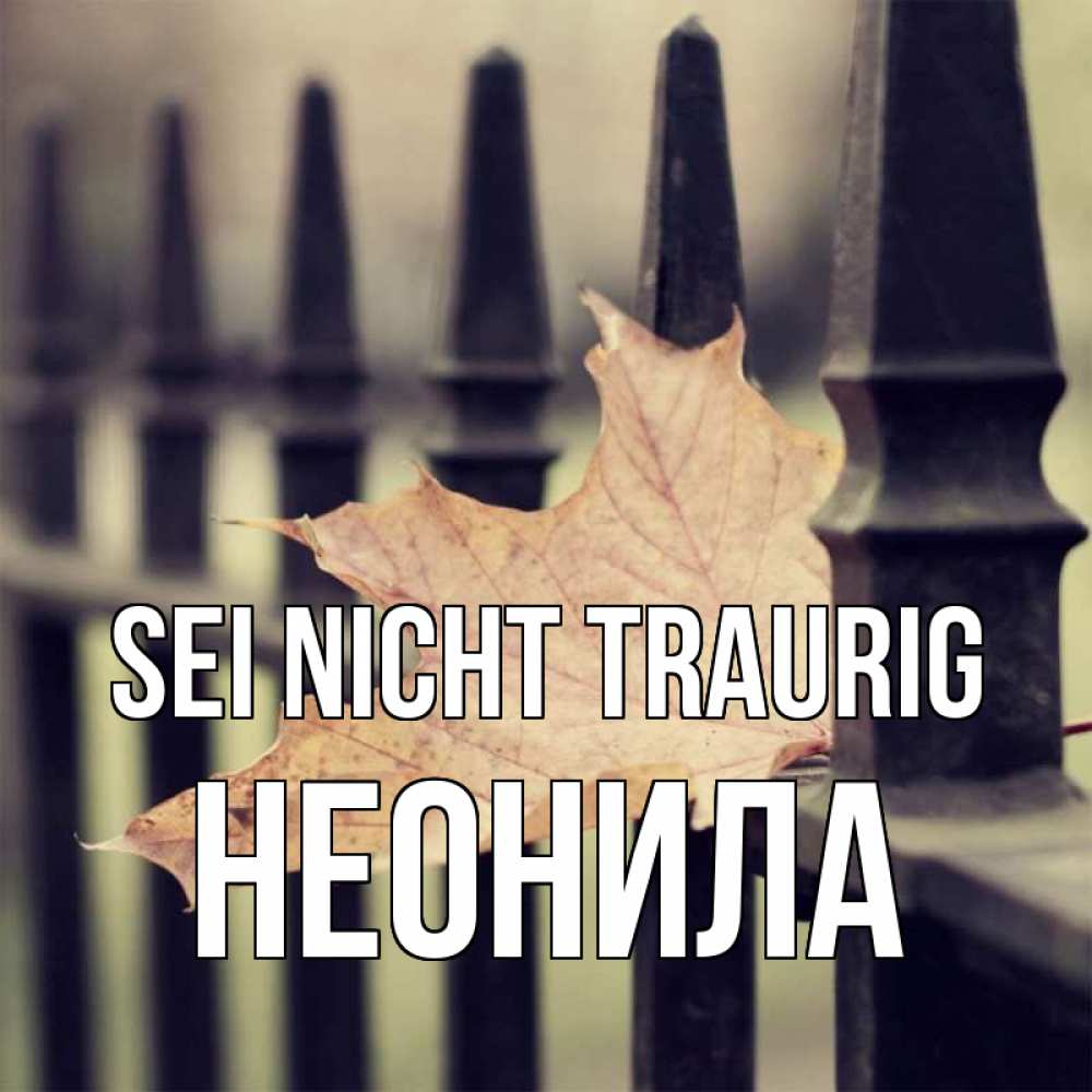 Открытка на каждый день с именем, Неонила Sei nicht traurig лист клена Прикольная открытка с пожеланием онлайн скачать бесплатно 