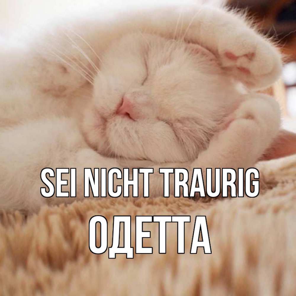 Открытка на каждый день с именем, Одетта Sei nicht traurig белый кот Прикольная открытка с пожеланием онлайн скачать бесплатно 