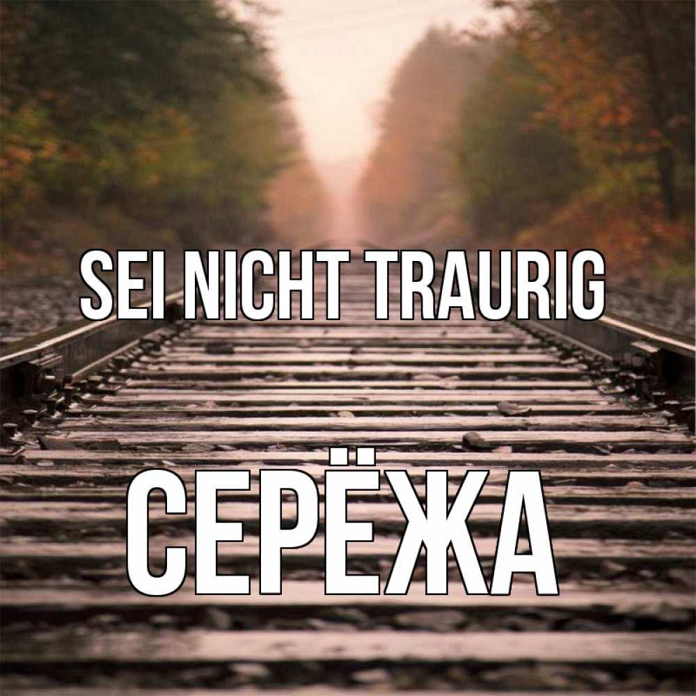 Открытка на каждый день с именем, Серёжа Sei nicht traurig лес и железная дорога Прикольная открытка с пожеланием онлайн скачать бесплатно 
