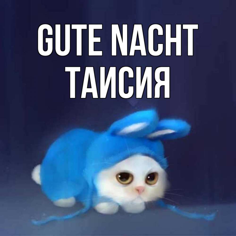 Открытка на каждый день с именем, Таисия Gute Nacht кот в голубом костюме кролика с ушками Прикольная открытка с пожеланием онлайн скачать бесплатно 