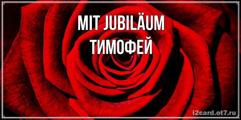 Открытка на каждый день с именем, Тимофей Mit Jubiläum алая роза Прикольная открытка с пожеланием онлайн скачать бесплатно 