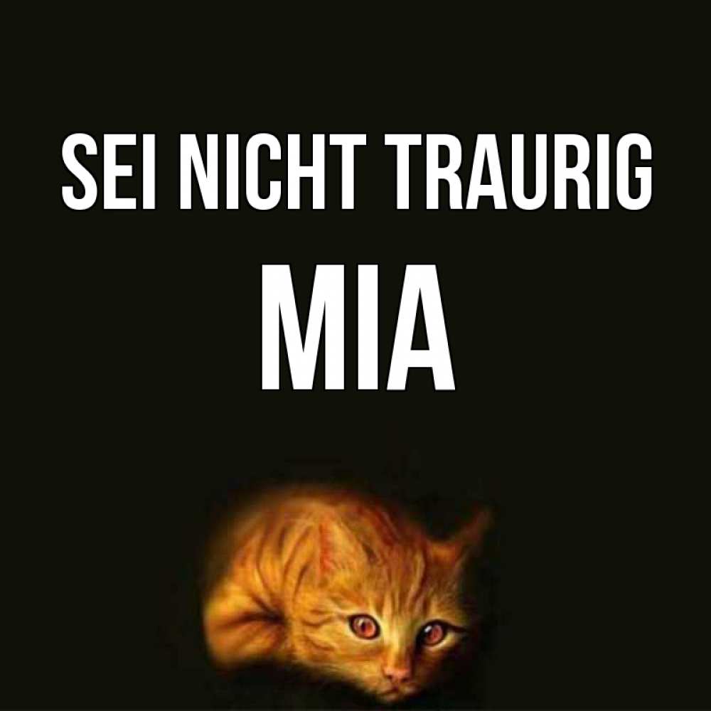Открытка на каждый день с именем, Mia Sei nicht traurig лежащий кот в темноте Прикольная открытка с пожеланием онлайн скачать бесплатно 