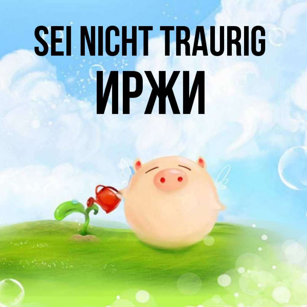 Открытка на каждый день с именем, Иржи Sei nicht traurig поливает цветок порося Прикольная открытка с пожеланием онлайн скачать бесплатно 