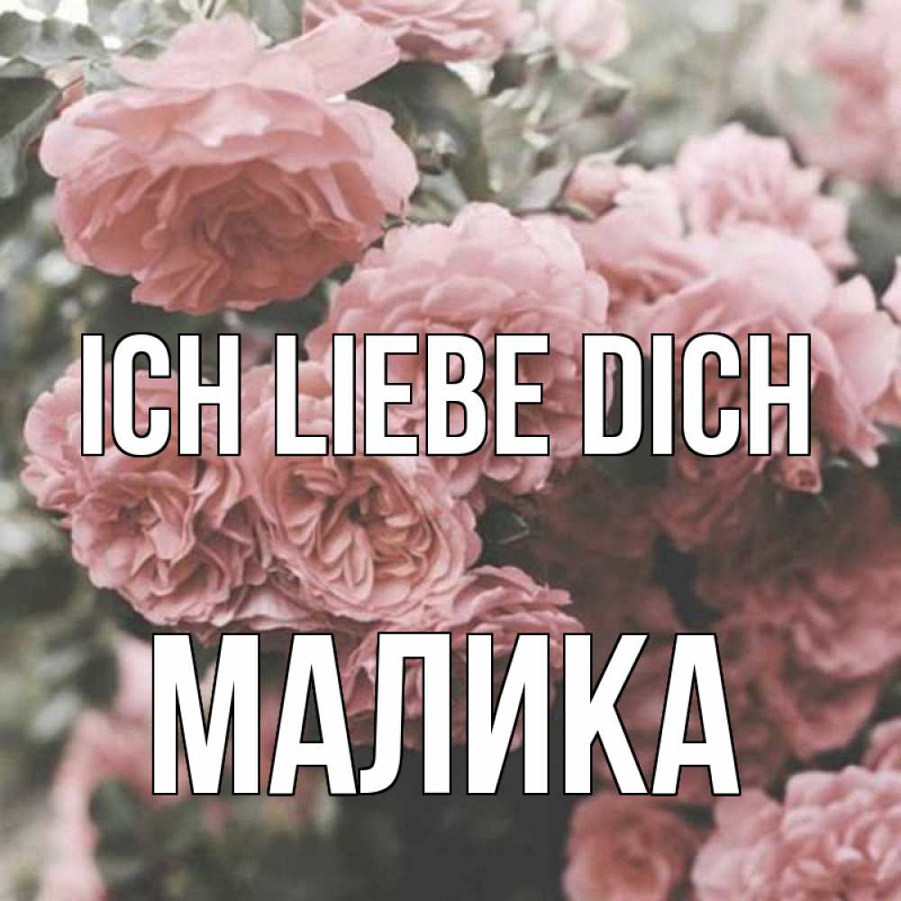 Открытка на каждый день с именем, Малика Ich liebe dich розы 3 Прикольная открытка с пожеланием онлайн скачать бесплатно 