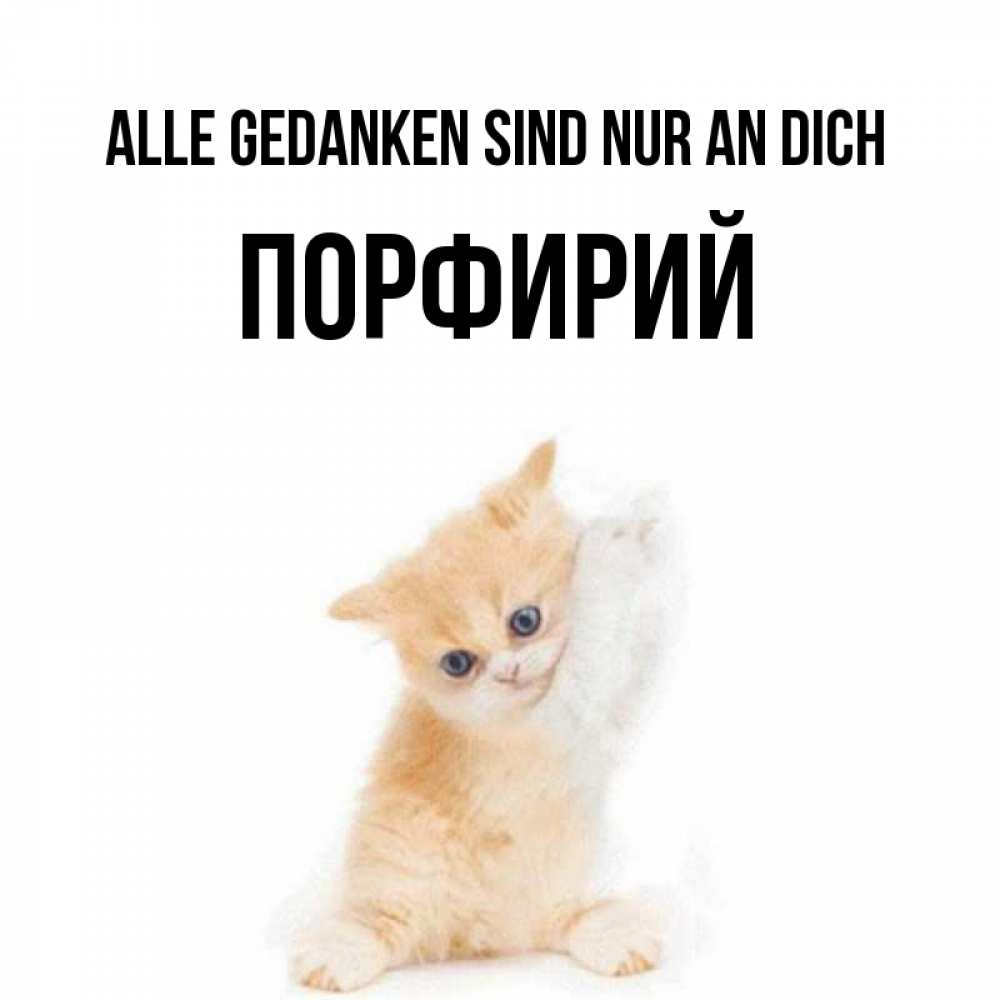 Открытка на каждый день с именем, Порфирий Alle Gedanken sind nur an dich зверушки и милота Прикольная открытка с пожеланием онлайн скачать бесплатно 