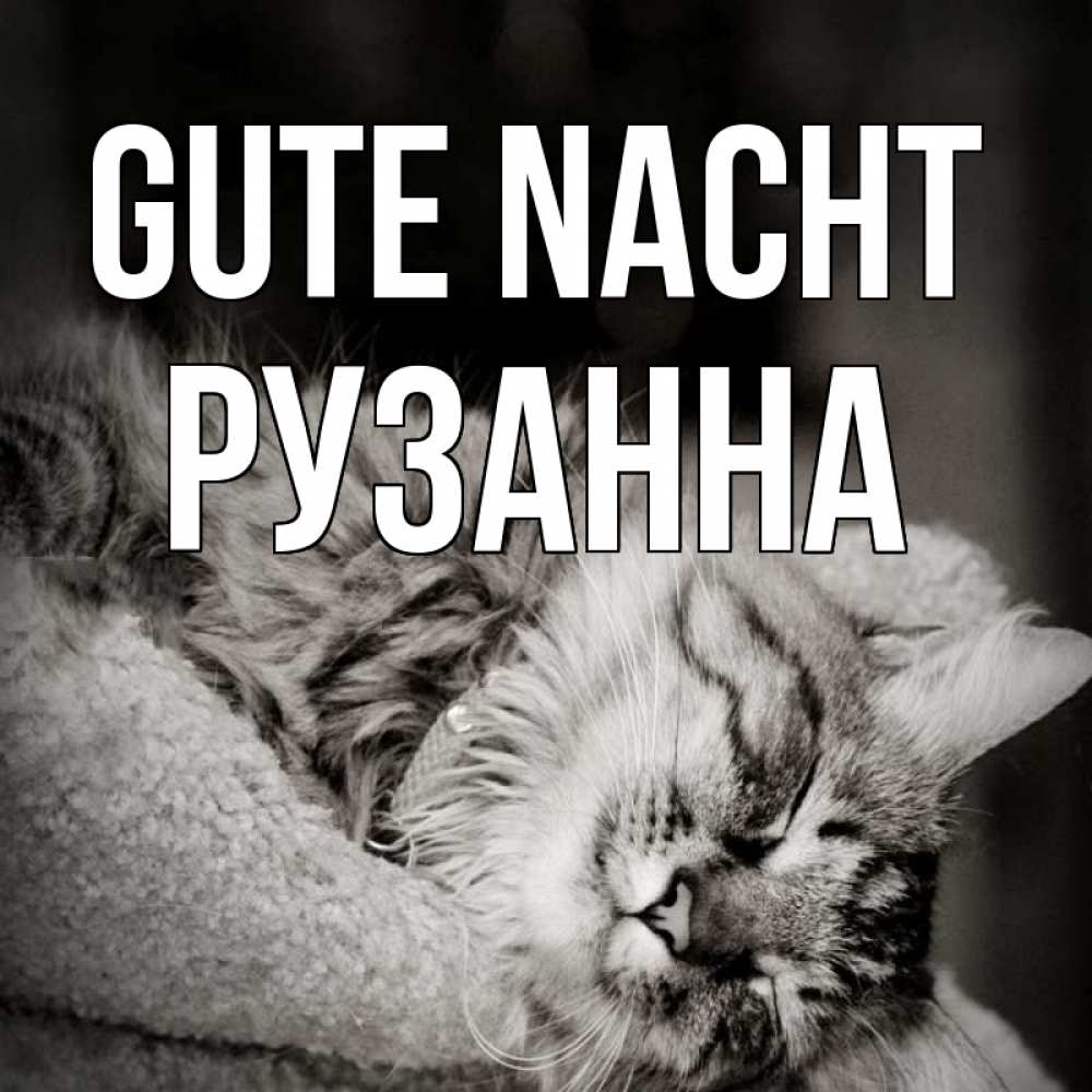 Открытка на каждый день с именем, Рузанна Gute Nacht котярик пушистый Прикольная открытка с пожеланием онлайн скачать бесплатно 