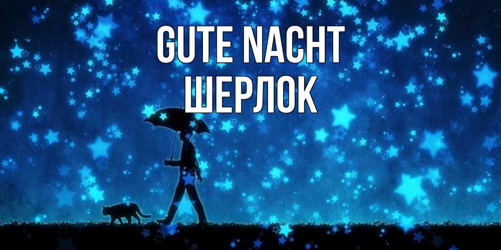 Открытка на каждый день с именем, Шерлок Gute Nacht ночные прогулки с котом под звездами Прикольная открытка с пожеланием онлайн скачать бесплатно 