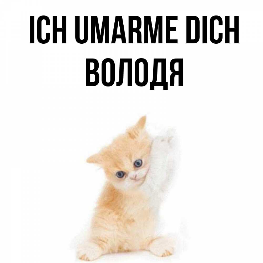 Открытка на каждый день с именем, Володя Ich umarme dich я хочу очень скорее обнимаешек Прикольная открытка с пожеланием онлайн скачать бесплатно 