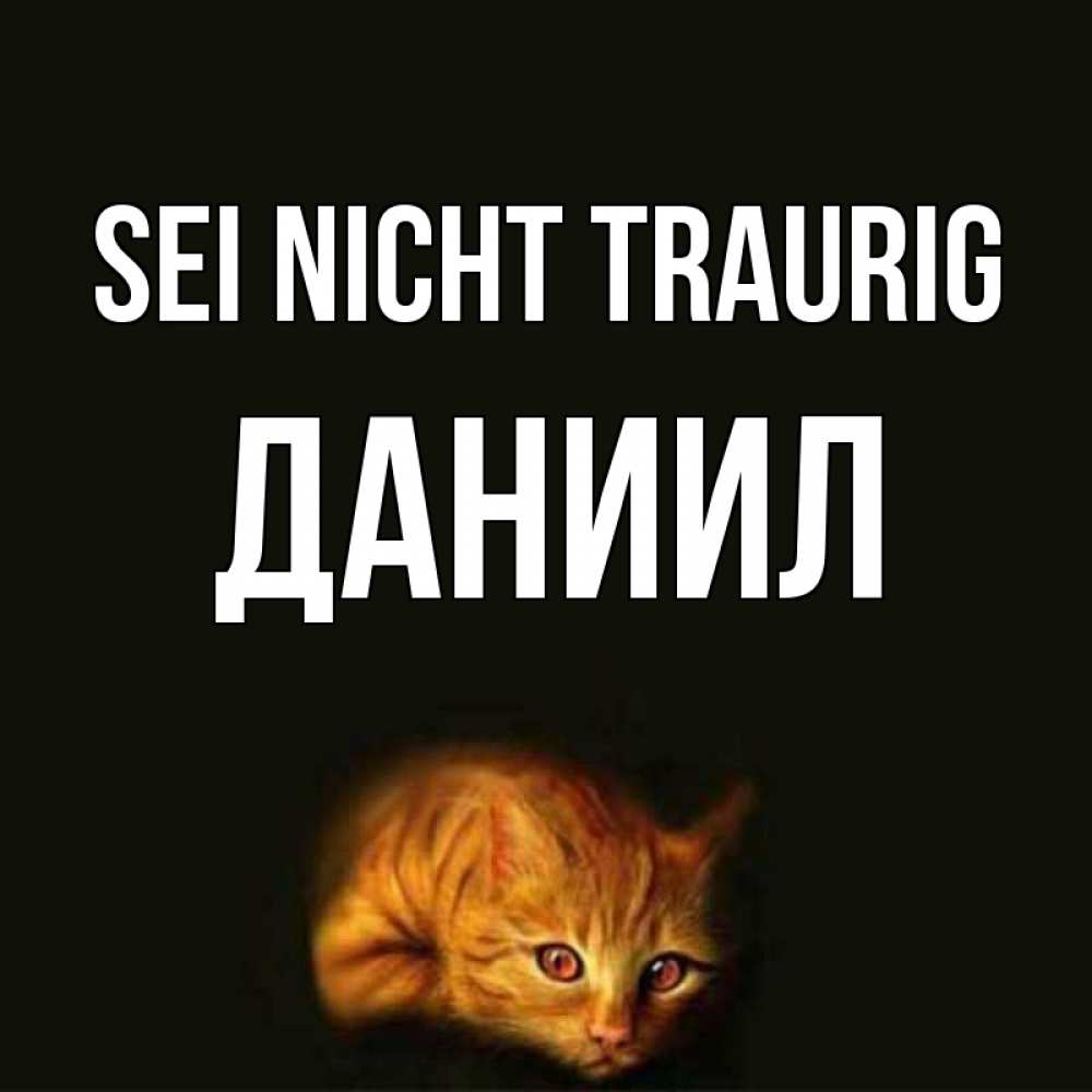 Открытка на каждый день с именем, Даниил Sei nicht traurig лежащий кот в темноте Прикольная открытка с пожеланием онлайн скачать бесплатно 