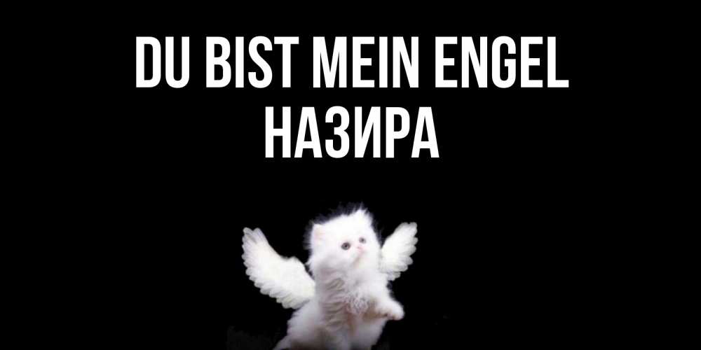Открытка на каждый день с именем, Назира Du bist mein Engel Кот ангел Прикольная открытка с пожеланием онлайн скачать бесплатно 