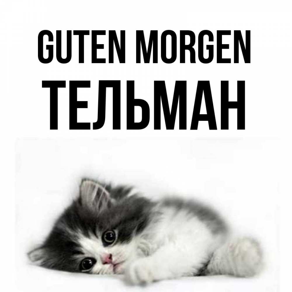 Открытка на каждый день с именем, Тельман Guten Morgen кот лапки Прикольная открытка с пожеланием онлайн скачать бесплатно 