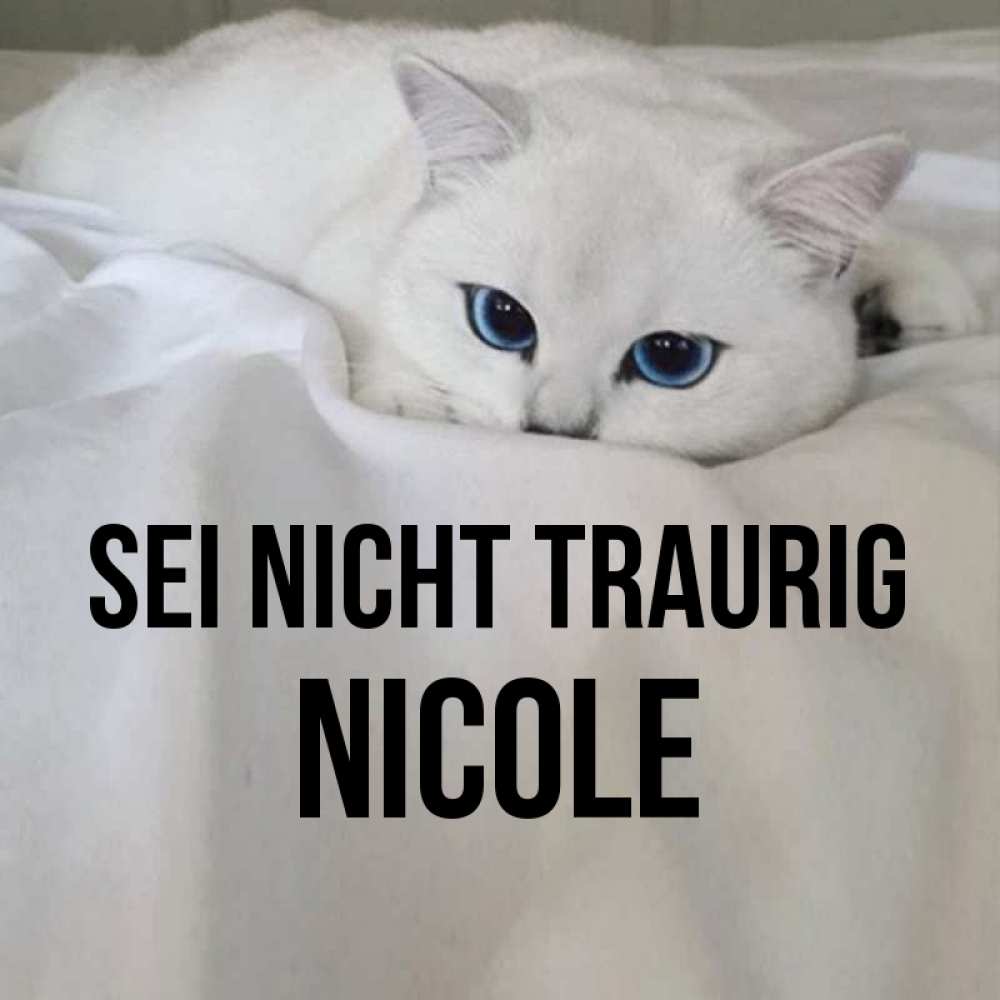 Открытка на каждый день с именем, Nicole Sei nicht traurig Голубоглазая кошка Прикольная открытка с пожеланием онлайн скачать бесплатно 