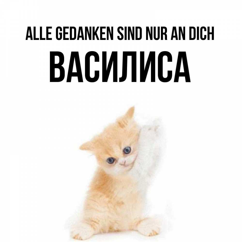 Открытка на каждый день с именем, Василиса Alle Gedanken sind nur an dich зверушки и милота Прикольная открытка с пожеланием онлайн скачать бесплатно 
