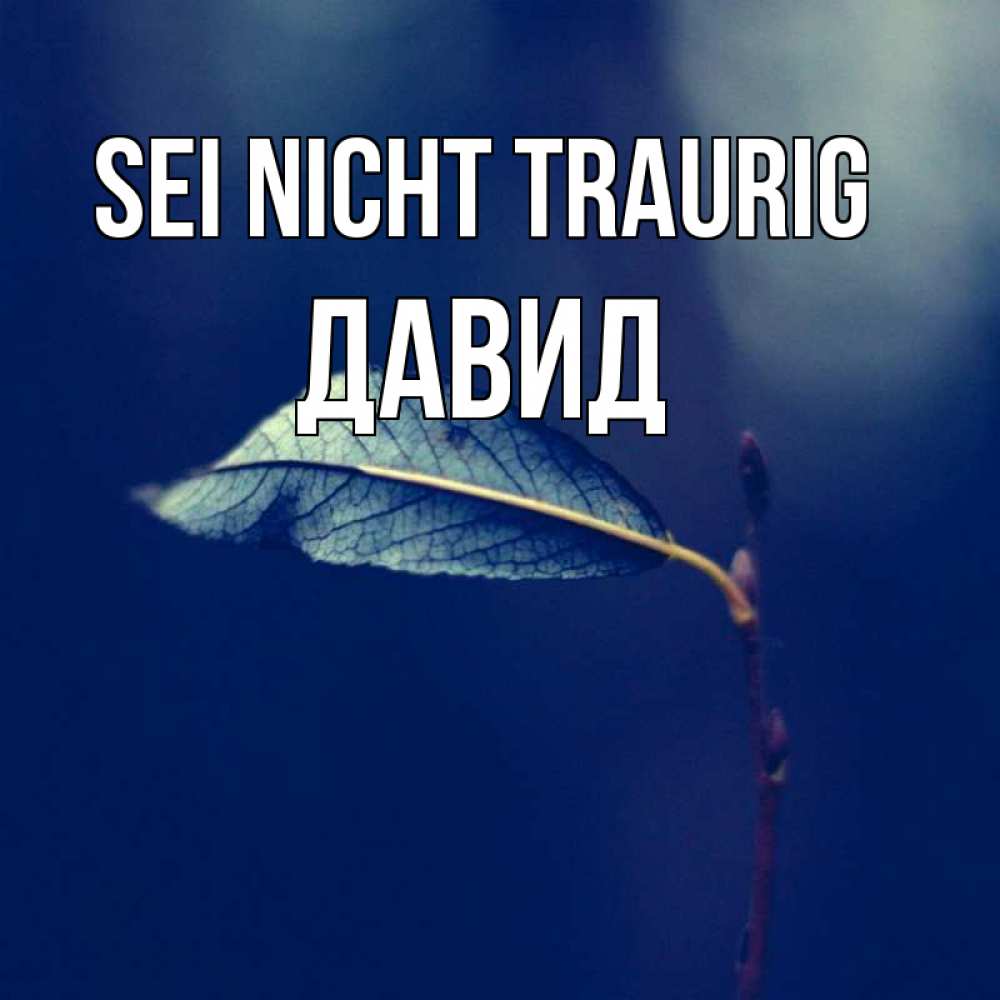 Открытка на каждый день с именем, Давид Sei nicht traurig растение Прикольная открытка с пожеланием онлайн скачать бесплатно 