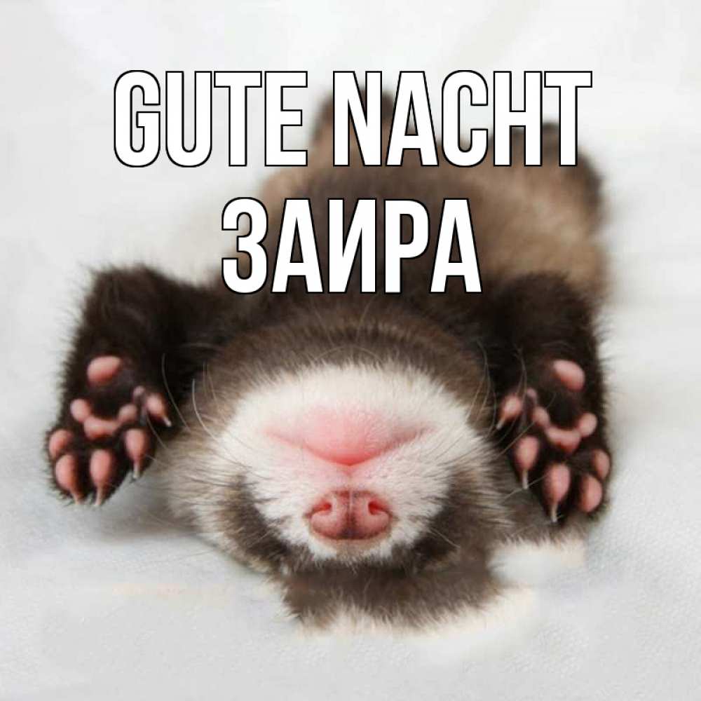 Открытка на каждый день с именем, Заира Gute Nacht зверек Прикольная открытка с пожеланием онлайн скачать бесплатно 