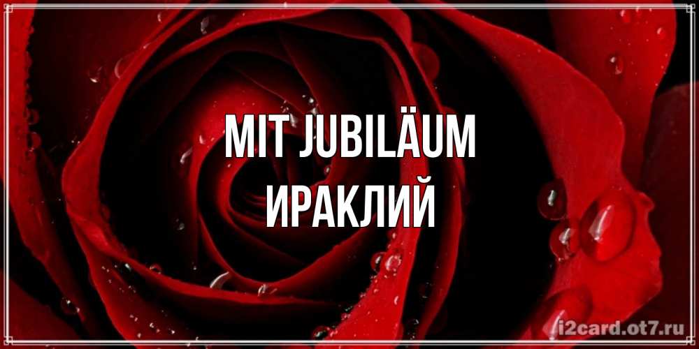 Открытка на каждый день с именем, Ираклий Mit Jubiläum крупная бордовая роза Прикольная открытка с пожеланием онлайн скачать бесплатно 
