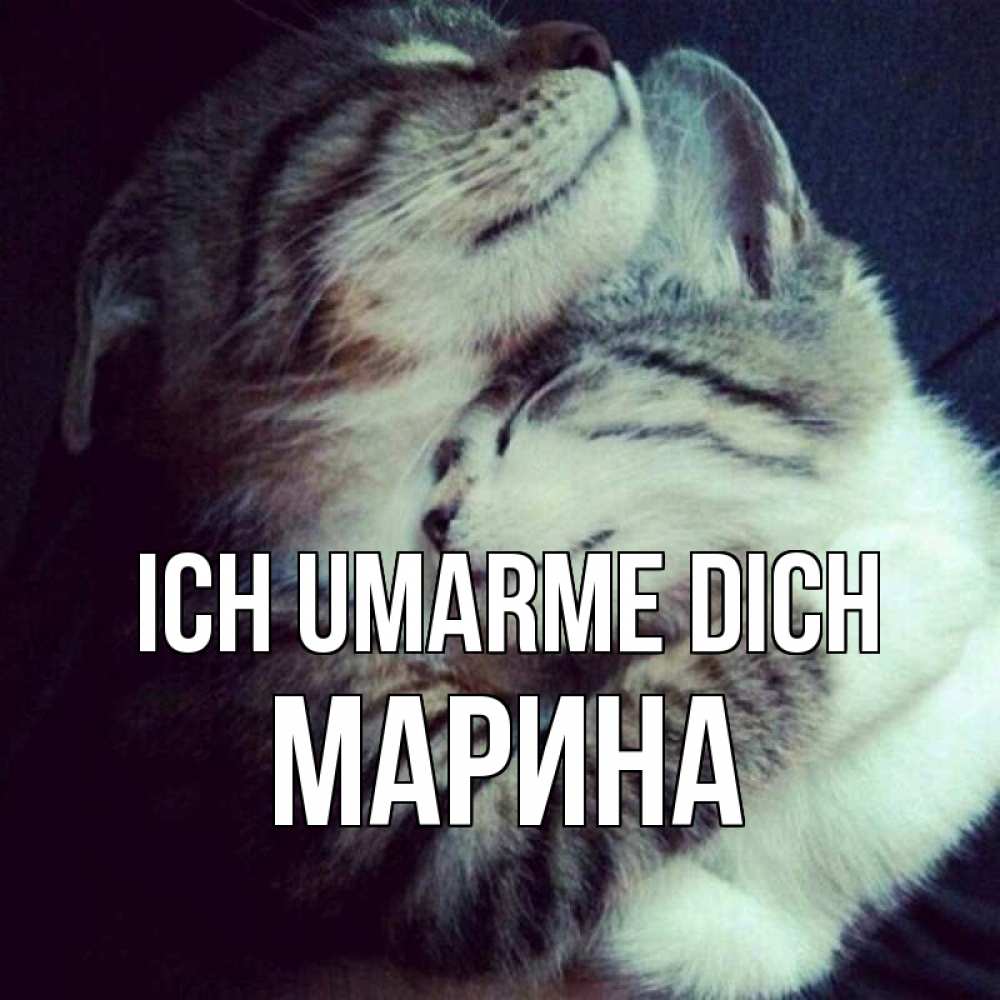Открытка на каждый день с именем, Марина Ich umarme dich полосатики Прикольная открытка с пожеланием онлайн скачать бесплатно 