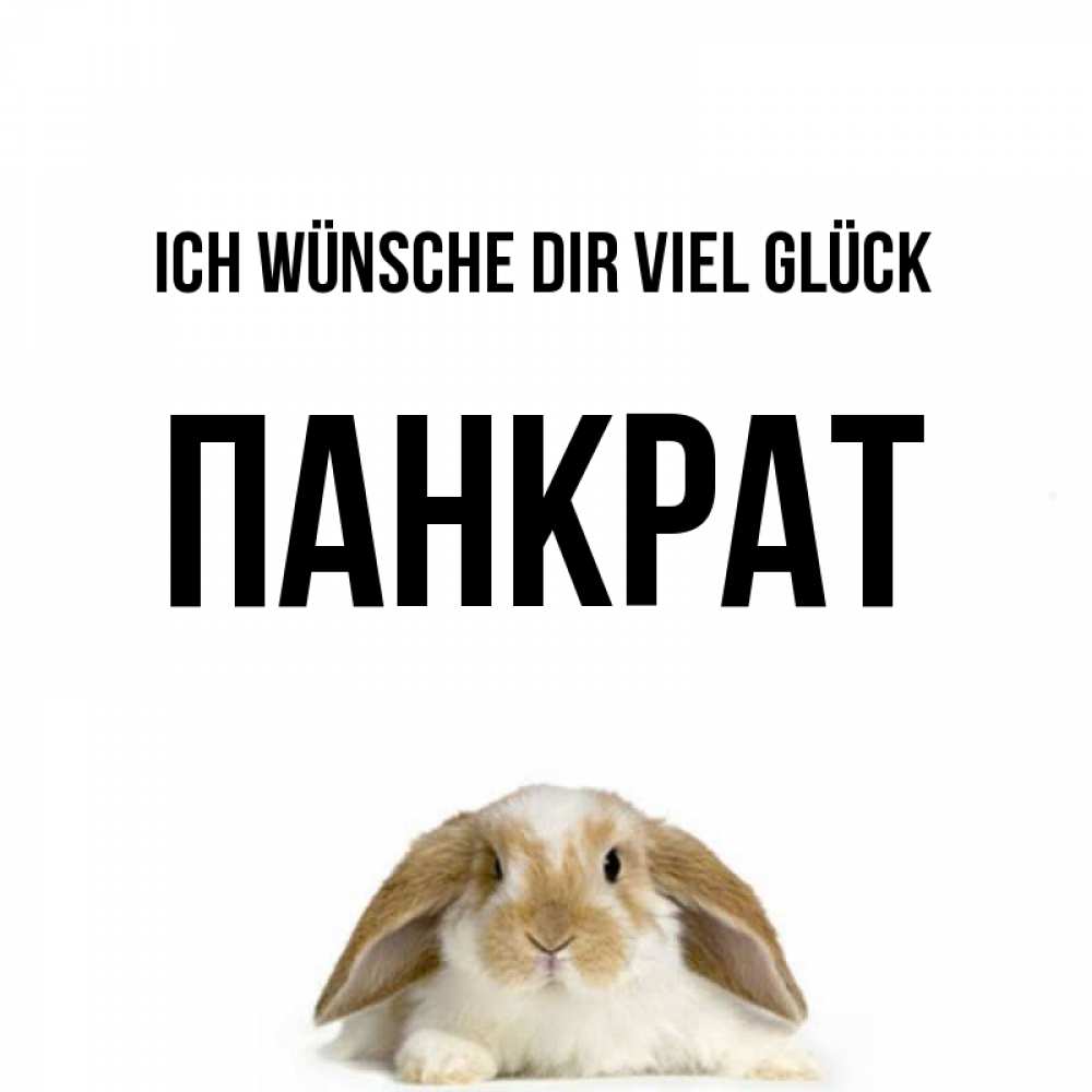 Открытка на каждый день с именем, Панкрат Ich wünsche dir viel Glück открытки с произвольным текстом который можно вставить в открытку и создать ее самостоятельно бесплатно онлайн Прикольная открытка с пожеланием онлайн скачать бесплатно 