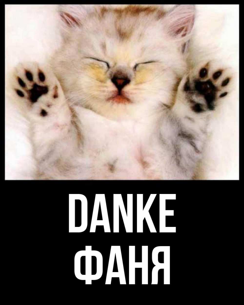 Открытка на каждый день с именем, Фаня Danke маленький котенок Прикольная открытка с пожеланием онлайн скачать бесплатно 